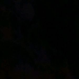 Meet your Posher, Mimi